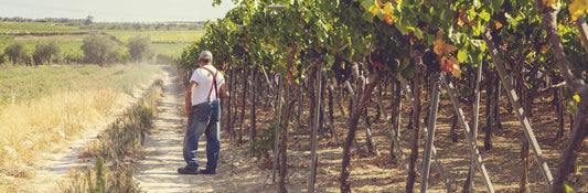 The Good, the Grit, and the Limestone