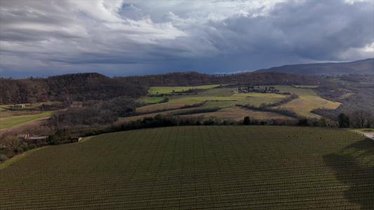Stone, Song, and Sangiovese