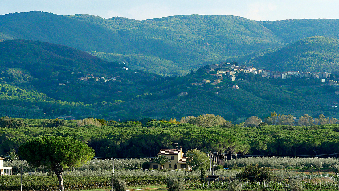 Once Upon a Time in Bolgheri