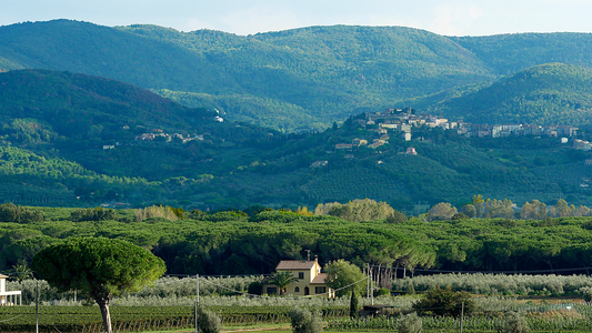Once Upon a Time in Bolgheri