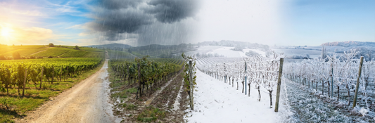 Blame It On The Weather