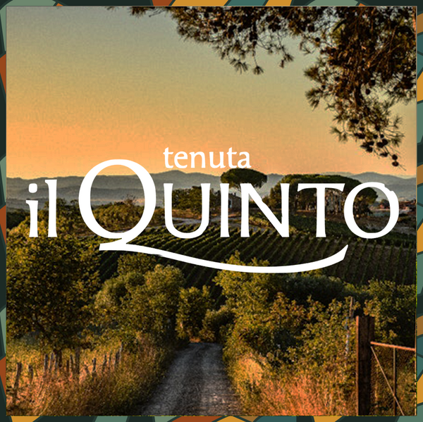 Quinto