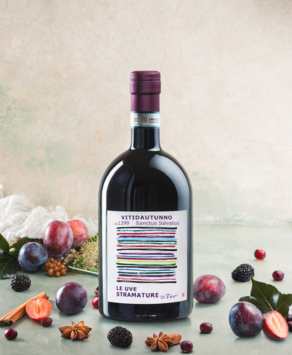 Teo Costa | Vitidautunno Piemonte DOC Barbera Appassimento