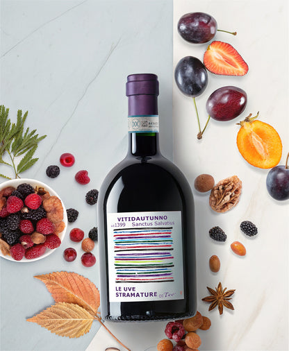 Teo Costa | Vitidautunno Piemonte DOC Barbera Appassimento