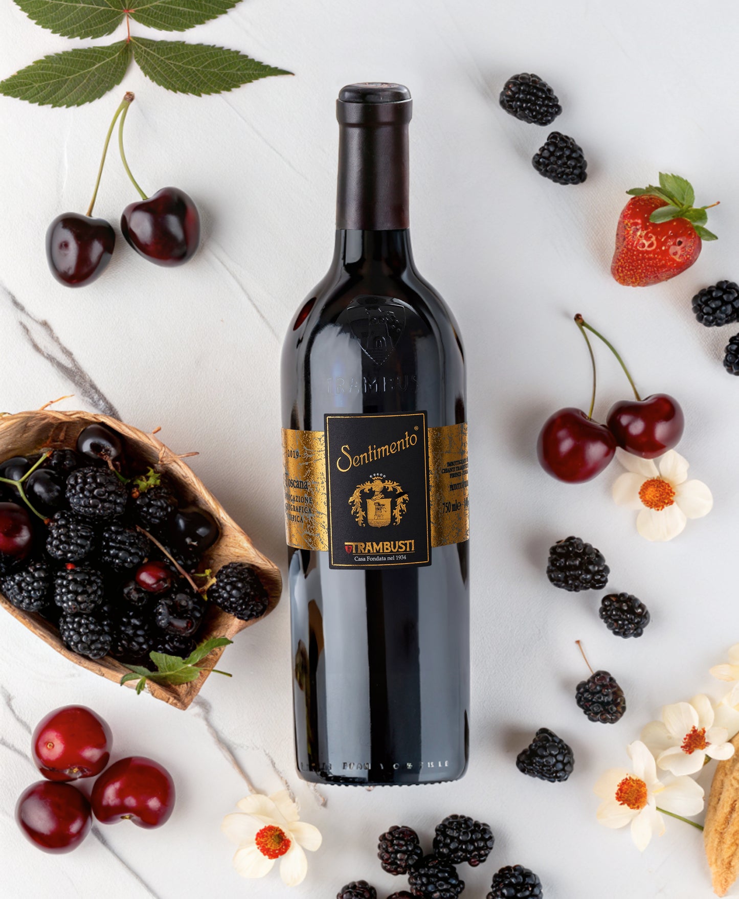 Discover Tuscan Reds