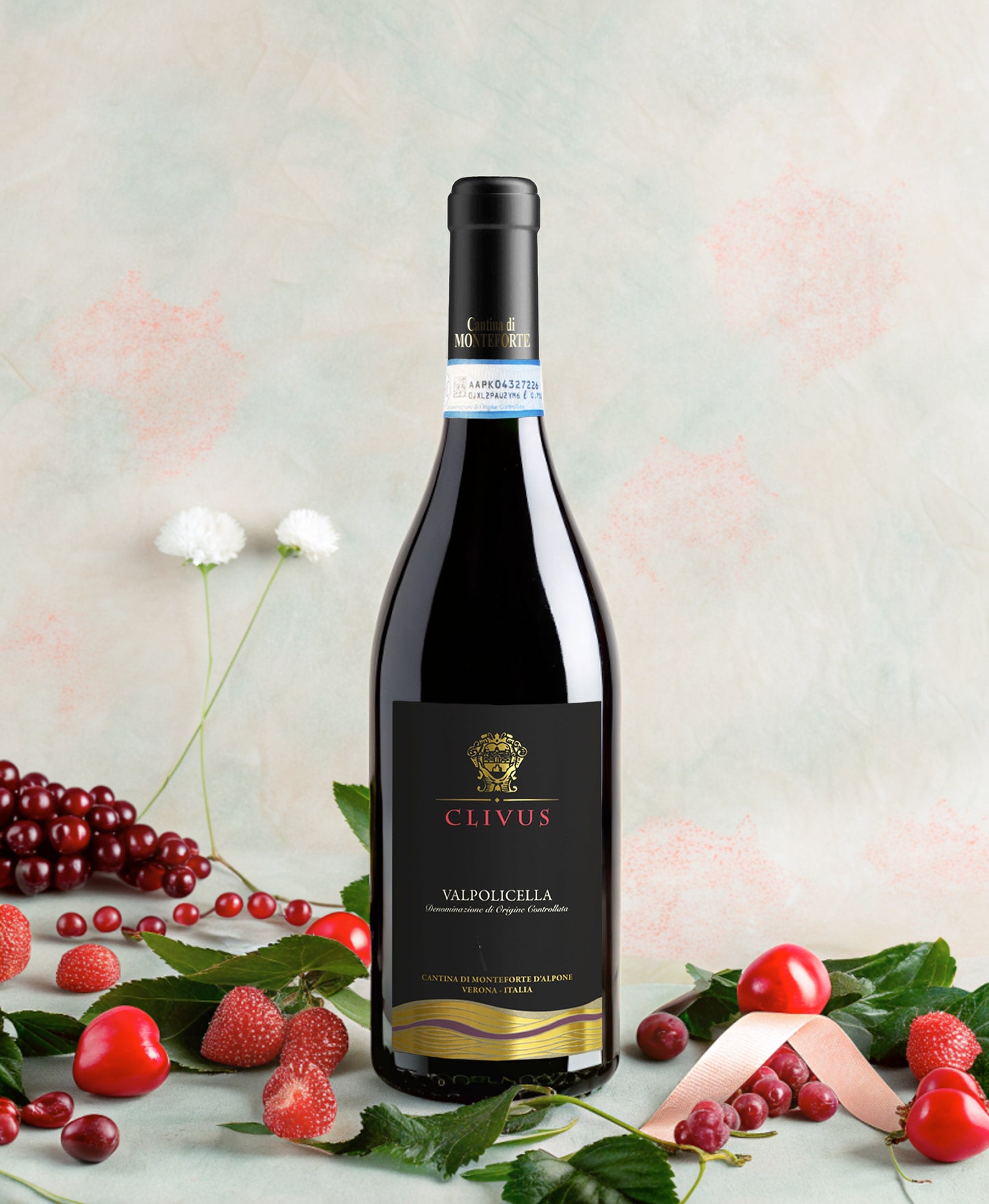 Monteforte | Valpolicella Clivus