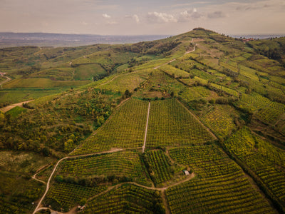 Cantina di Monteforte
