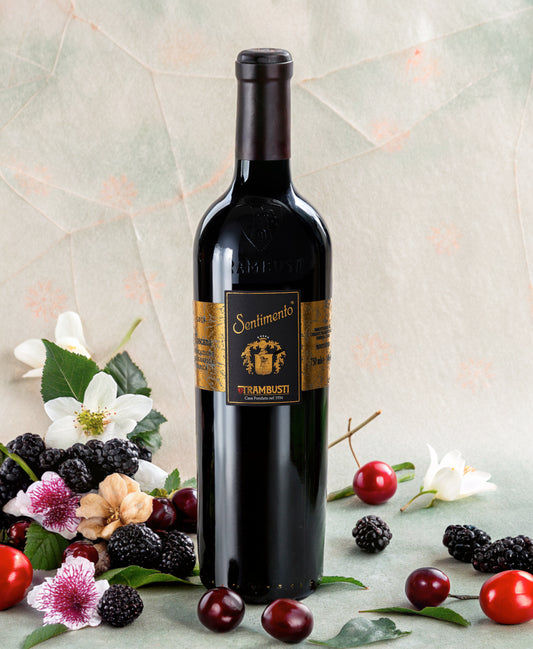 Trambusti | Toscana IGT Rosso Sentimento