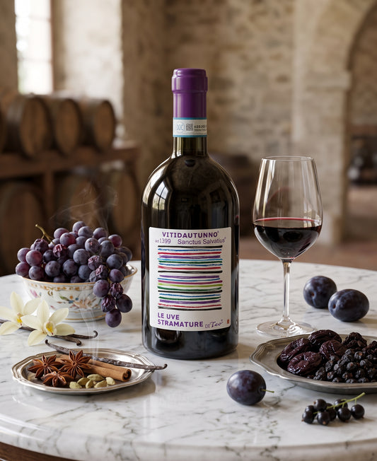 Teo Costa | Vitidautunno Piemonte DOC Barbera Appassimento