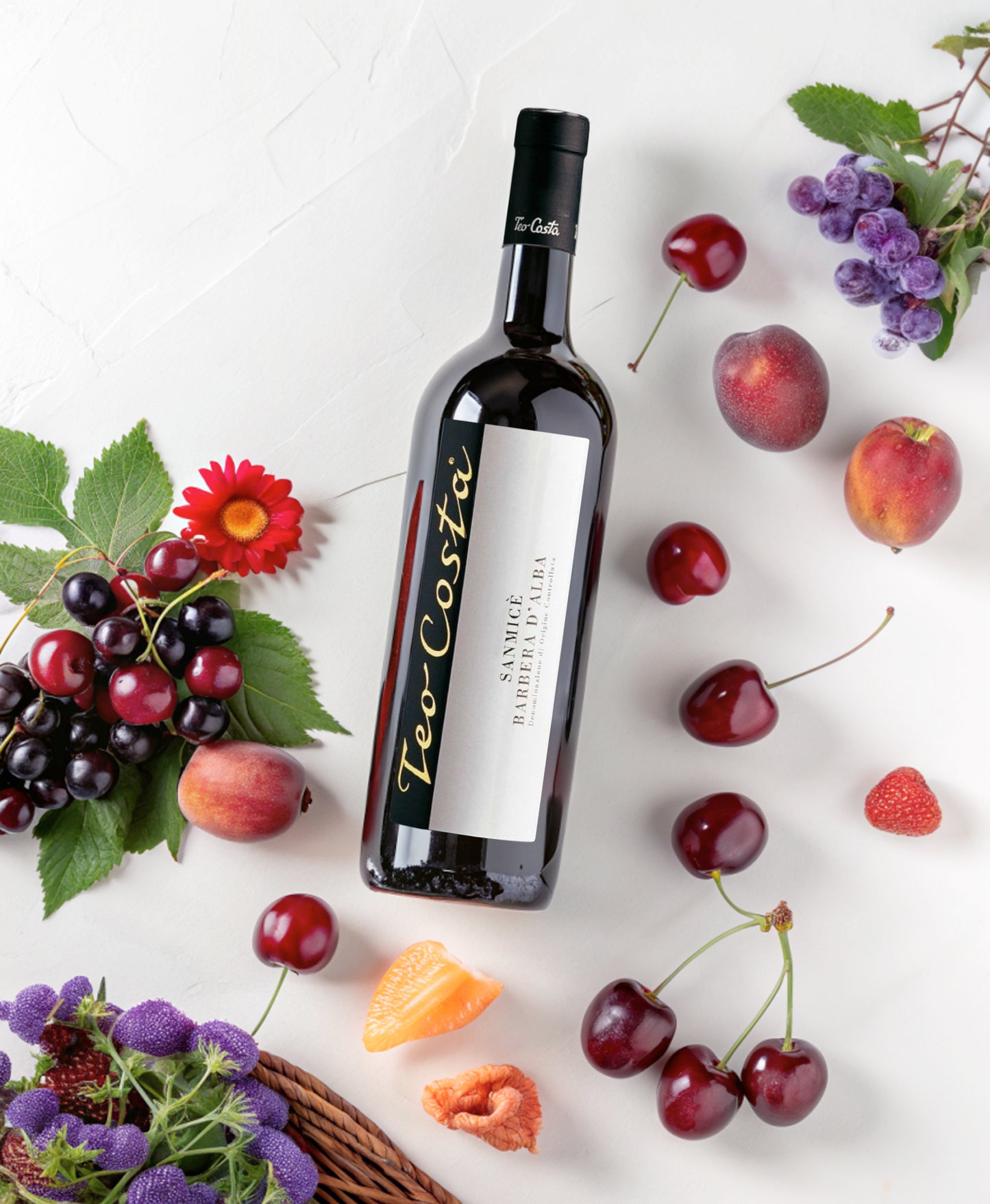 Teo Costa | Sanmice Barbera D'Alba