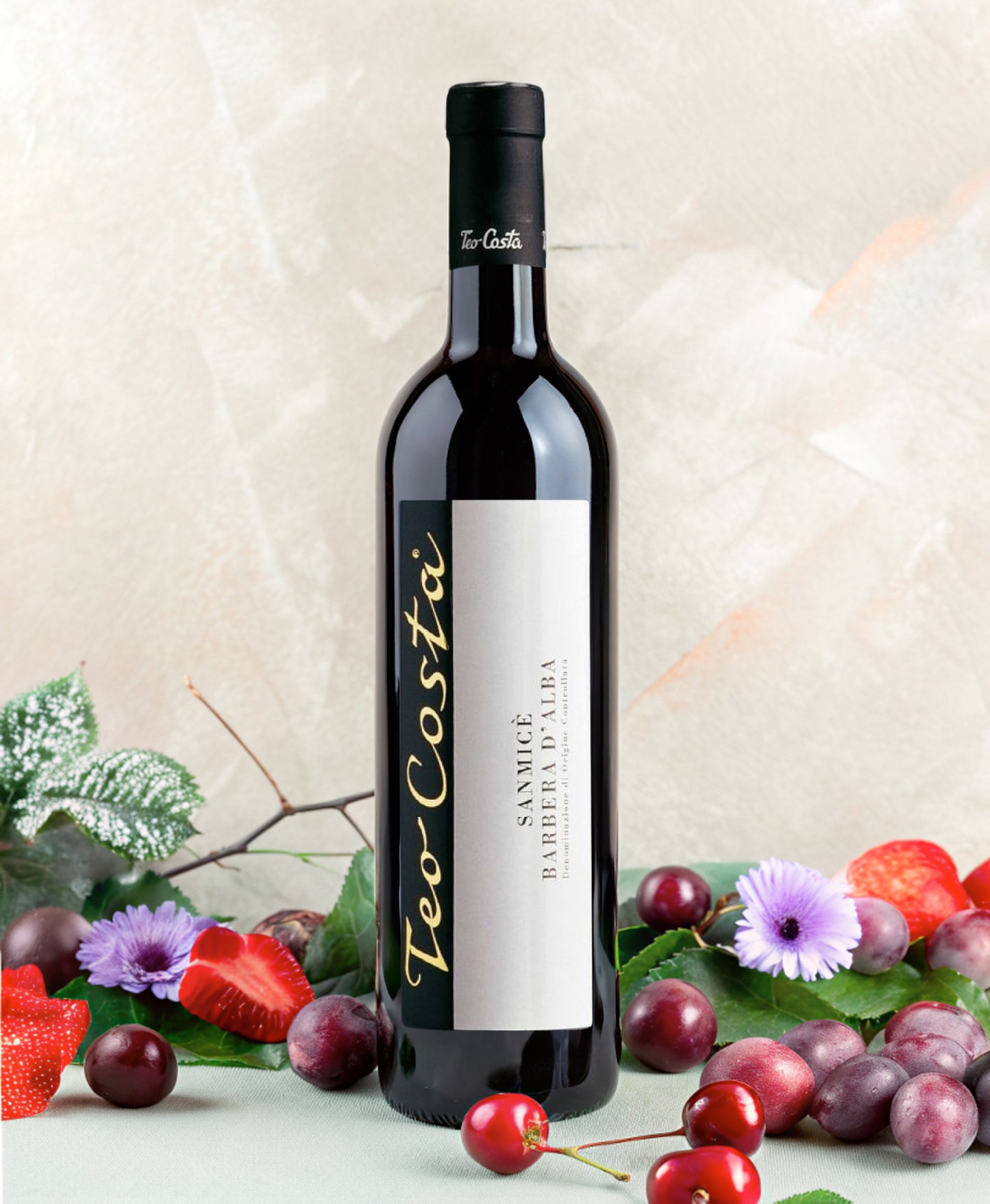 Teo Costa | Sanmice Barbera D'Alba