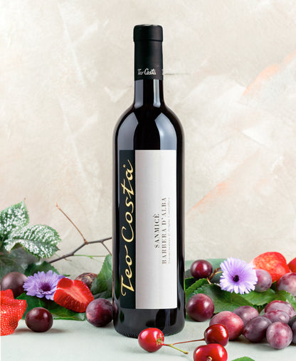 Teo Costa | Sanmice Barbera D'Alba